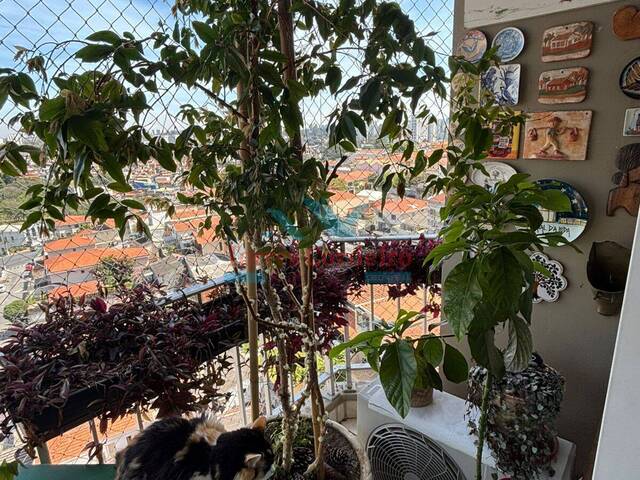 Apartamento para Venda em São Paulo - 4