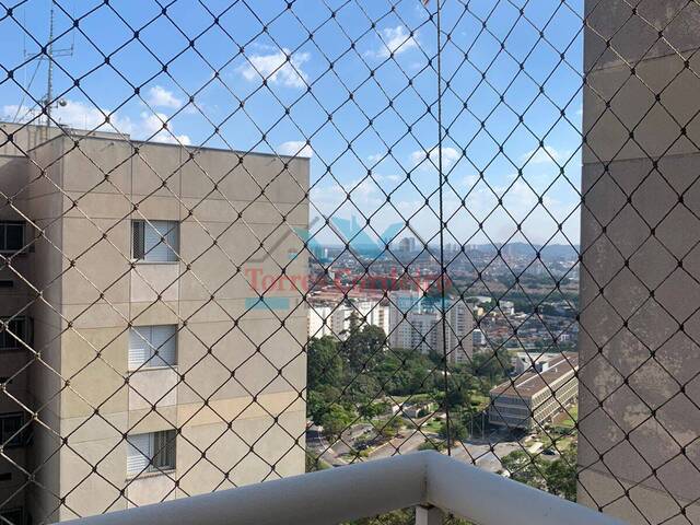 Apartamento para Locação em Taboão da Serra - 2